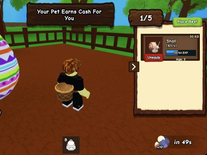 Click the plot ground to place your pet so it starts earning